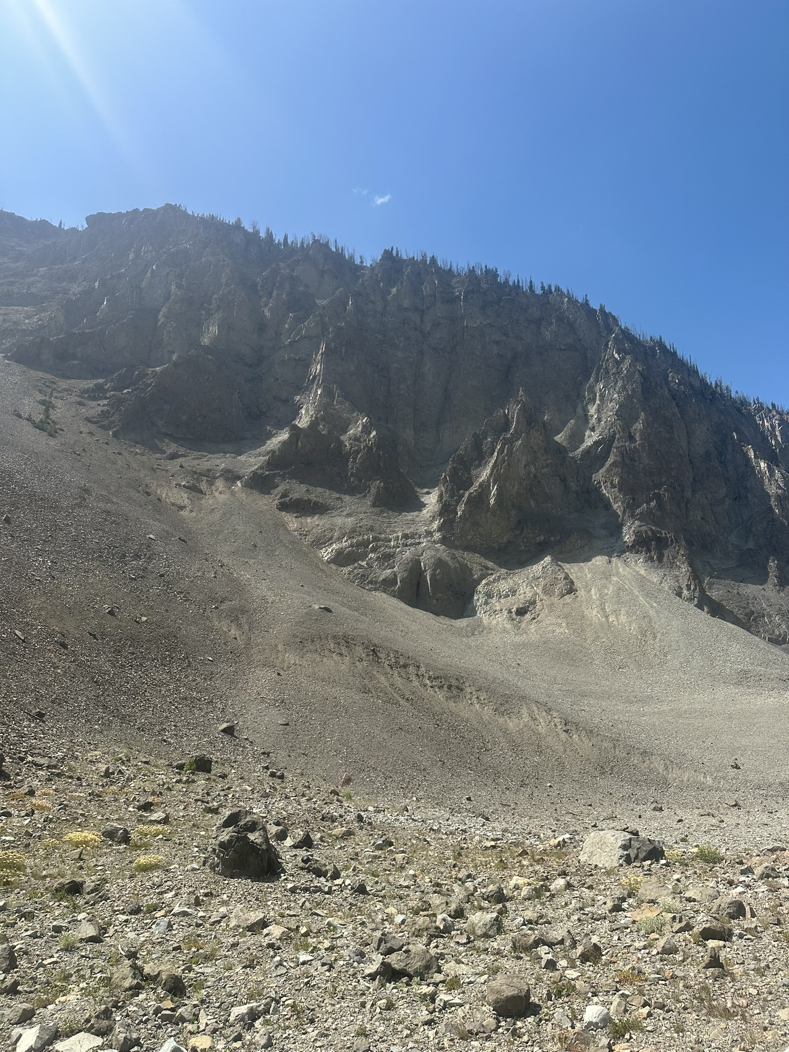 Yellowstone And Grand Teton National Parks - Image 8